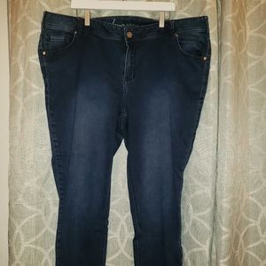Lane Bryant skinny fit jeans size 24